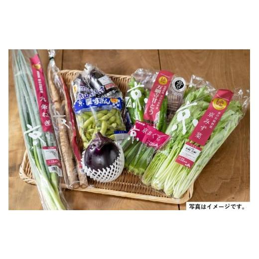 ふるさと納税 京都府 京都市 季節の京野菜セット