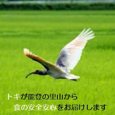 コシヒカリ 令和５年新米 玄米：残留農薬ゼロ(検査証明書付)  30k エコ栽培 能登里山の米