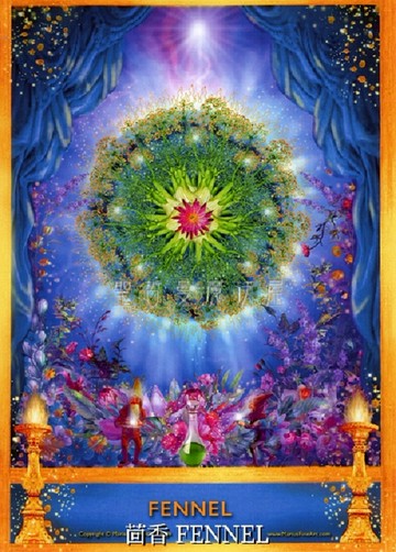 茴香 FENNEL【5*7吋美國進口正版作品】精靈天使精油神諭卡 - 精油天使系列畫