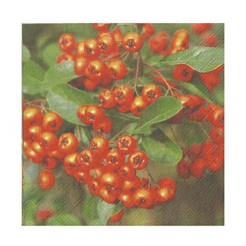 德國 IHR-33*33cm餐巾紙-火棘