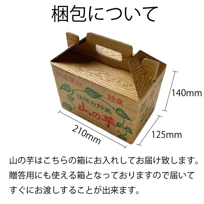 健康 伝統野菜 丹波篠山産 山の芋 粘り抜群 とろろ芋 山芋 優品 1kg箱