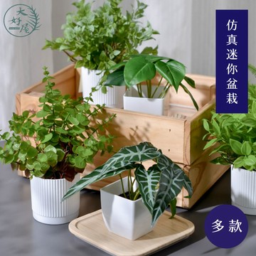 大好屋 現貨 仿真迷你盆栽 觀葉植物 龜背葉 蕨類 秋海棠 薰衣草 綠植 小盆栽 人造葉材