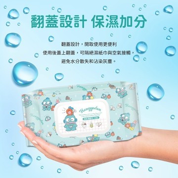 三麗鷗 人魚漢頓 醜魚 加蓋超細柔純水濕紙巾80抽 -野餐款 濕紙巾 柔濕巾 柔膚巾