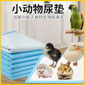 龍貓蜜袋鼯鬆鼠倉鼠尿墊除臭花枝鼠刺蝟鸚鵡厠所蘆丁鷄速吸隔尿墊 JDI9