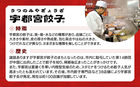 宇都宮餃子　32店舗定期便　計700個以上 ｜ ぎょうざ 冷凍餃子 冷凍食品 惣菜 栃木県 宇都宮市 ※着日指定不可