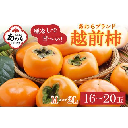 ふるさと納税 越前柿 16〜20玉入 M〜2L 《種なしで食べやすく甘い！》 あわらブランド ／ 期間限定 果物 フルーツ 産地直送 旬 お.. 福井県あわら市