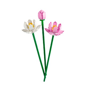 [家速配]樂高蓮花 #40647