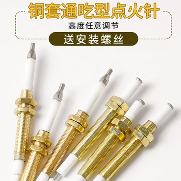 購滿99出貨🔥臺灣熱銷🔥燃氣竈點火針打火器通用萬能帶線感應銅針嵌入式煤氣竈具維修配件