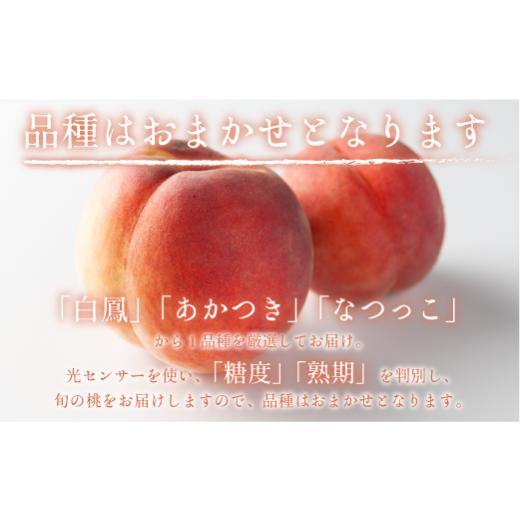 ふるさと納税 長野県 飯綱町 桃 5kg 訳あり 先行予約 2024年 グルメ 《品種おまかせ「 白鳳 」「 あかつき 」「 なつっこ 」いずれか1品種》 光センサー選別品…