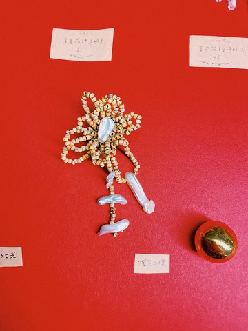 異星花語變奏曲 橙花土壤