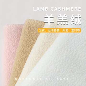 加厚保暖羊羔毛布料泰迪絨珊瑚絨毛絨里布內襯玩偶絨布外套面料