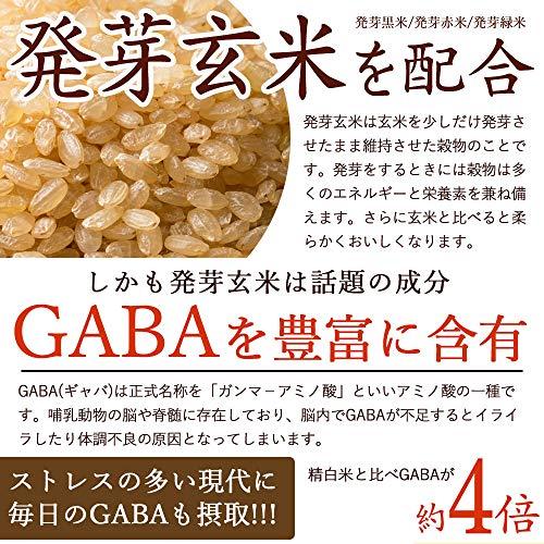 雑穀米本舗 明日への輝き39穀米ブレンド 2.7kg(450g×6袋)