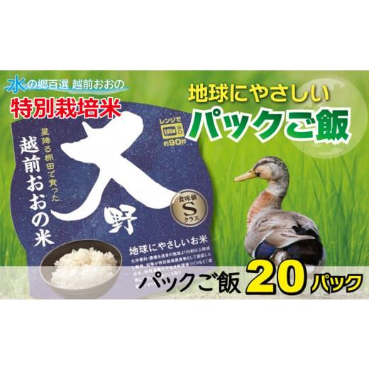 ふるさと納税 福井県 大野市 地球にやさしいパックご飯 20食入り