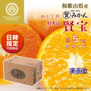 [予約 2023年 12月31日必着] 賢宝みかん マル賢みかん 約5kg Mサイズ 特秀 樹上完熟 和歌山県 高品位 冬ギフト お歳暮 御歳暮 大晦日必着