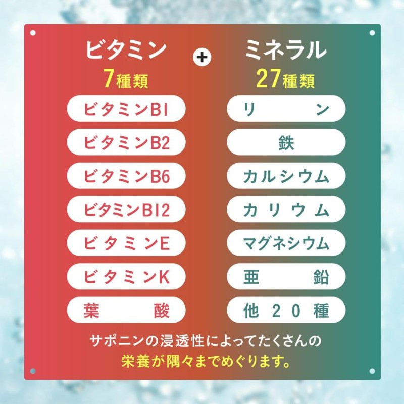 田七人参 白井田七 高麗人参 サポニン 240粒入り パウチタイプ 和漢の