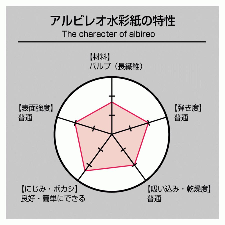 ホルベイン アルビレオ水彩紙 中目 218g B4サイズ ブロックタイプ 綴じ AB-B4