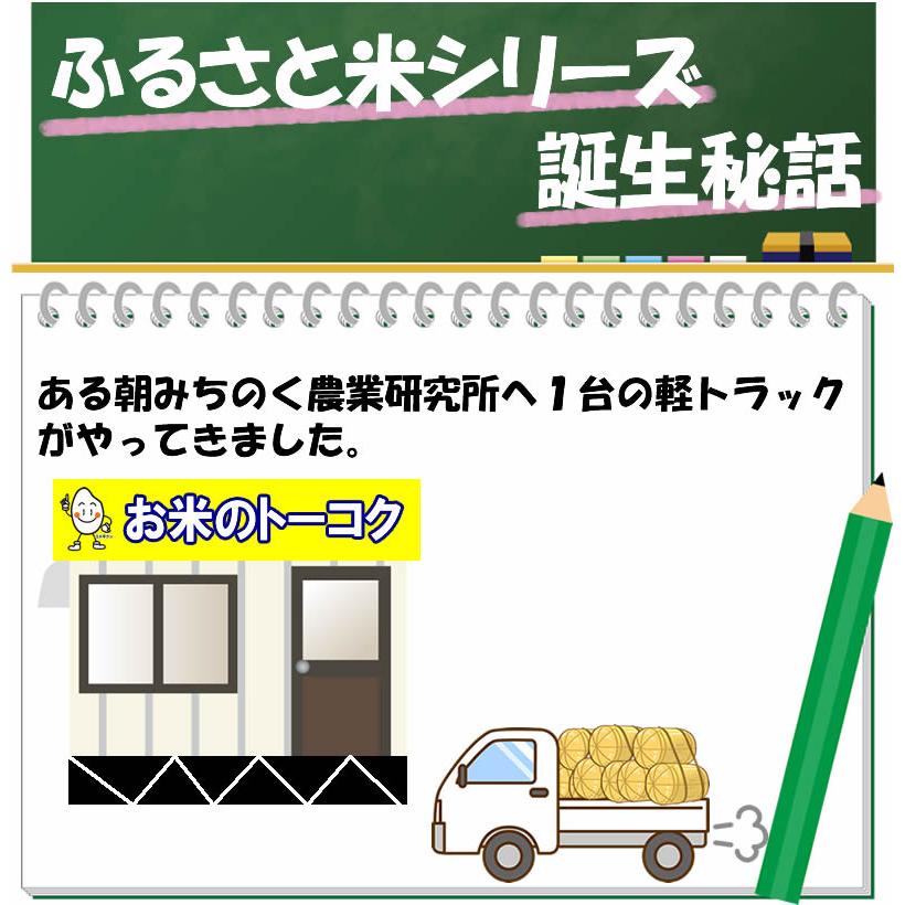 米 お米 10kg 令和5年産 ひとめぼれ5割 ふるさと御礼米 送料無料