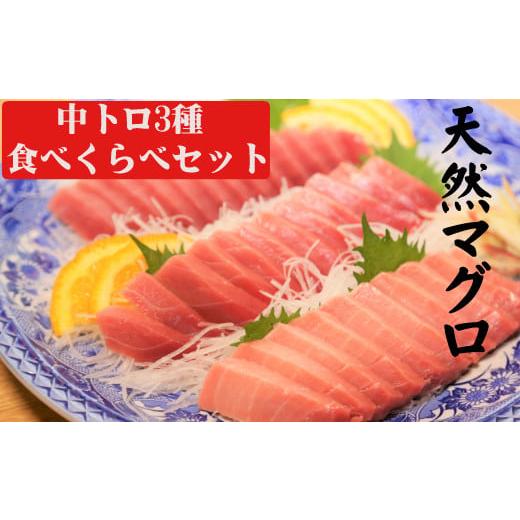 ふるさと納税 高知県 室戸市 天然マグロ中トロ３種食べくらべセット（本マグロ、ミナミマグロ、メバチマグロ　中トロ各１柵）