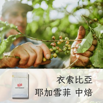 衣索比亞 耶加雪菲 中焙 (半磅)【柏克斯咖啡】
