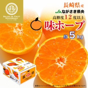 [予約 2023年 12月25日-12月31日の納品] 味ホープ みかん 約5kg 長崎県 JAながさき県央 高糖度 長崎 高級 産地箱 冬ギフト お歳暮 御歳暮