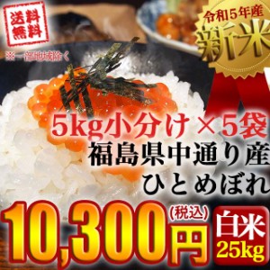 新米 お米 令和5年産 福島県中通り産ひとめぼれ 白米:25kg(5kg×5個)  送料無料 ※一部地域を除く