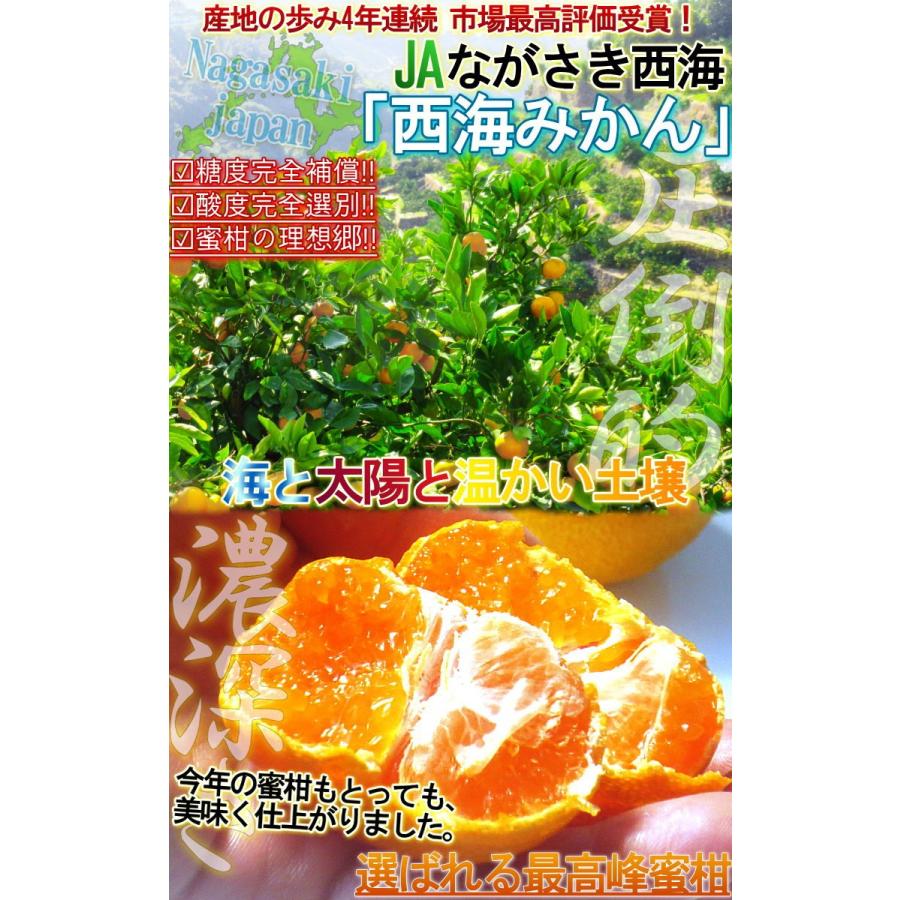 味まる蜜柑 約5kg 長崎県産 秀品限定 贈答規格 JAながさき西海 光センサー選果で糖度12度保障！長崎県が誇るブランド果物、西海みかん