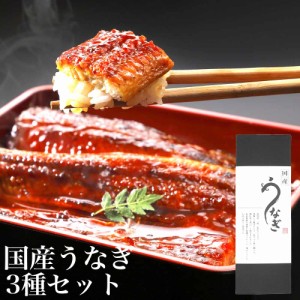 愛知県産 うなぎ蒲焼き3種セット(1尾200gの大サイズ長焼き 半身約50g 刻み50g) タレ付 ギフト 御中元 丑の日 鰻