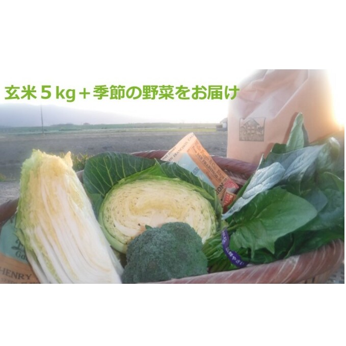 米 5kg 季節野菜 セット 玄米 ゆめつくし