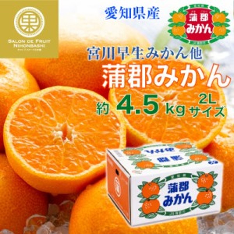 12月31日必着]　2Lサイズ　早生　愛知県蒲郡産　蒲郡みかん　専用箱　予約　約4.5kg　蒲郡早生みかん　早生　冬ギフト　2023年　御歳暮　LINEショッピング　蒲郡　お歳暮