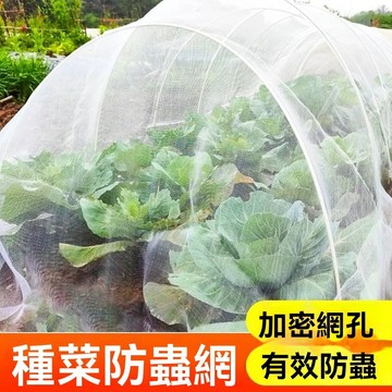 🤘蝦米優選🤘防蟲網種菜專用網80目防蟲罩加密紗網菜苗菜地果園網蔬菜防鳥罩