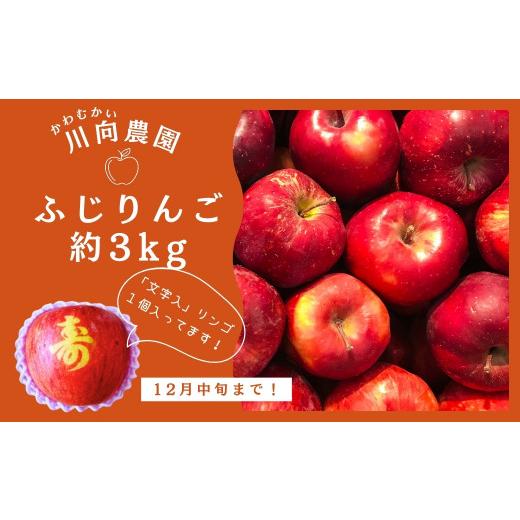 ふるさと納税 福島県 田村市  文字入り ふじりんご 3kg （約10個〜12個） 林檎 リンゴ 果物 果実 くだもの フルーツ 農家直送 減農薬 人気 …