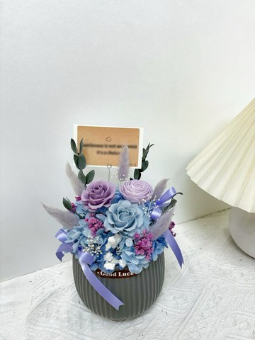 藍紫色永生盆花 開幕花禮 升遷花禮 祝賀花禮 入厝花禮