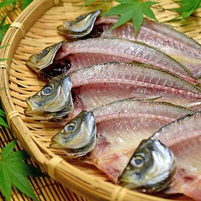 ふるさと納税 大月町 土佐大月海産　高級アジの干物 恋あじ 600g