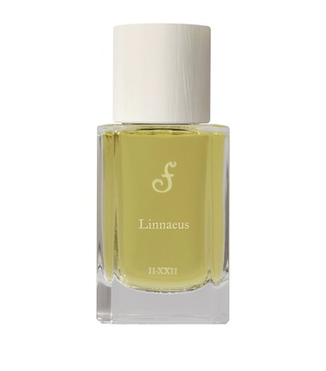 Fueguia 1833 Linnaeus Perfume
