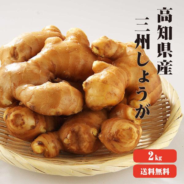 高知産 三州生姜 2kg 送料無料 業務用  高知県産 三州生姜 生姜 国産 根生姜 囲い生姜 坂田信夫商店