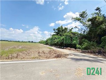 善化六分寮三角窗一般農☎️賞屋290-6660｜台南市善化區六分寮段