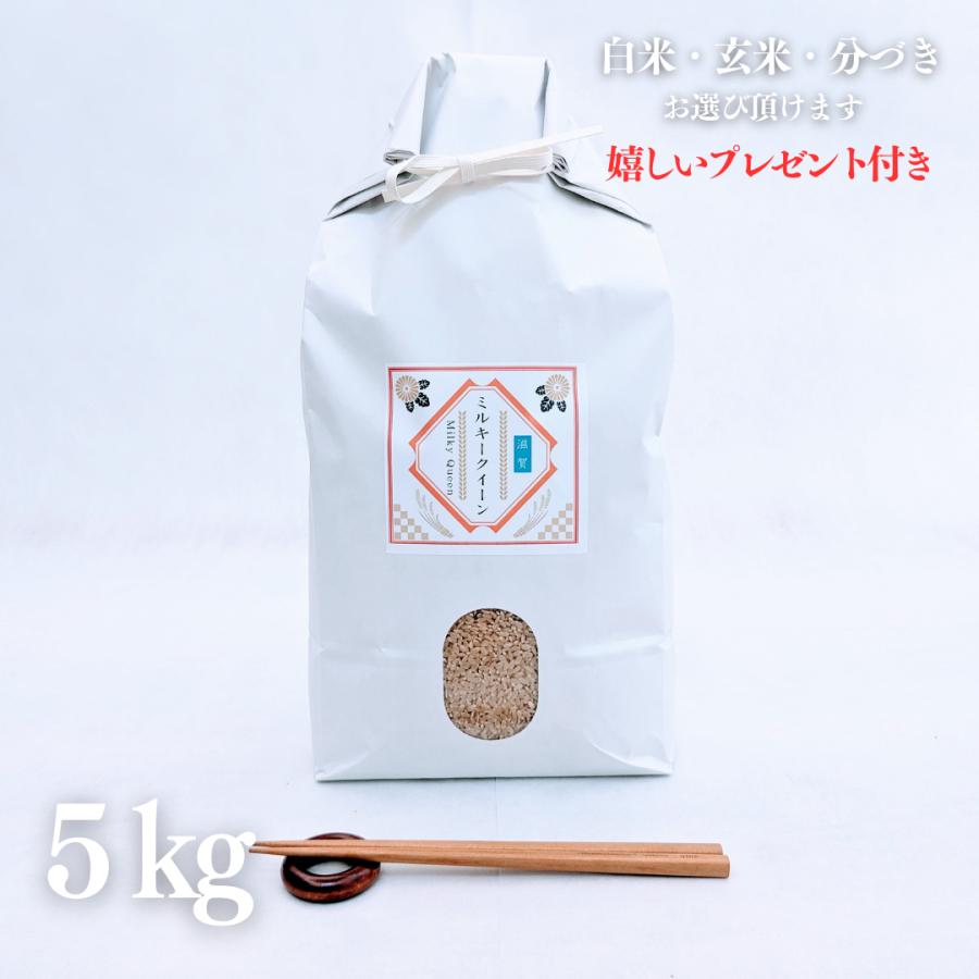 新米 お米 5kg 滋賀県 ミルキークイーン 玄米 5kg×1袋 令和5年産 近江米 精米無料 白米 5分付き 7分づき 熨斗無料 ギフト 紙袋 嬉しいプレゼント付き