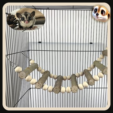 【XL-LX】蜜袋鼯桉樹 吊橋 寵物鞦韆 小寵玩具 小蜜爬梯 蜜鼬 龍貓 吊床 籠子 裝飾品