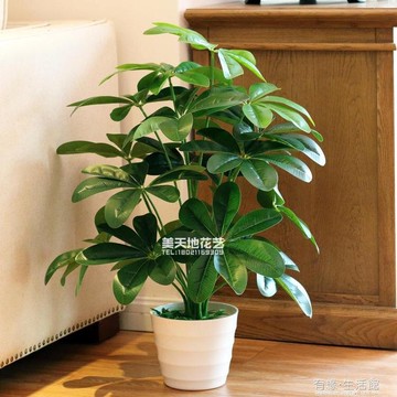 仿真植物盆栽搖錢葉盆栽室內假花裝飾綠植盆景假植物客廳裝飾擺件 台灣樂天市場 Line購物