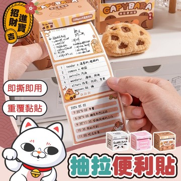 [重覆黏貼] 熊貓便利貼 抽拉便利貼 卡皮巴拉便利貼 便利貼 抽拉式便利貼 便條紙 便簽 水豚便利貼 錯題便利貼 水豚君