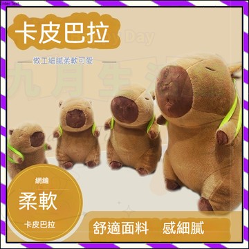【台灣出貨】卡比巴拉大號公仔 網紅爆款水豚卡皮巴拉 烏龜卡皮巴拉抱枕 內有多種水豚超大尺寸 卡皮巴拉烏龜水豚抱枕