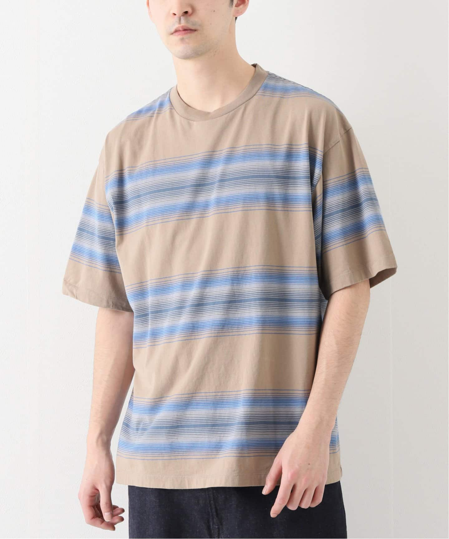 UNUSED US2187 Ombre border short-sleeve macaws.jp