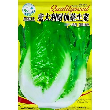 【原廠包裝】義大利生菜種子 全年可種速成 免催芽 沙拉必備 清脆多汁 耐熱品種 家庭水耕/陽台盆栽 有機蔬菜 DIY種植