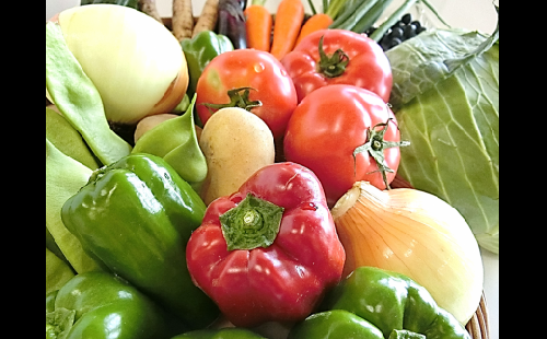 リニューアル！！1-(3)．安芸野菜・果物の詰め合わせ