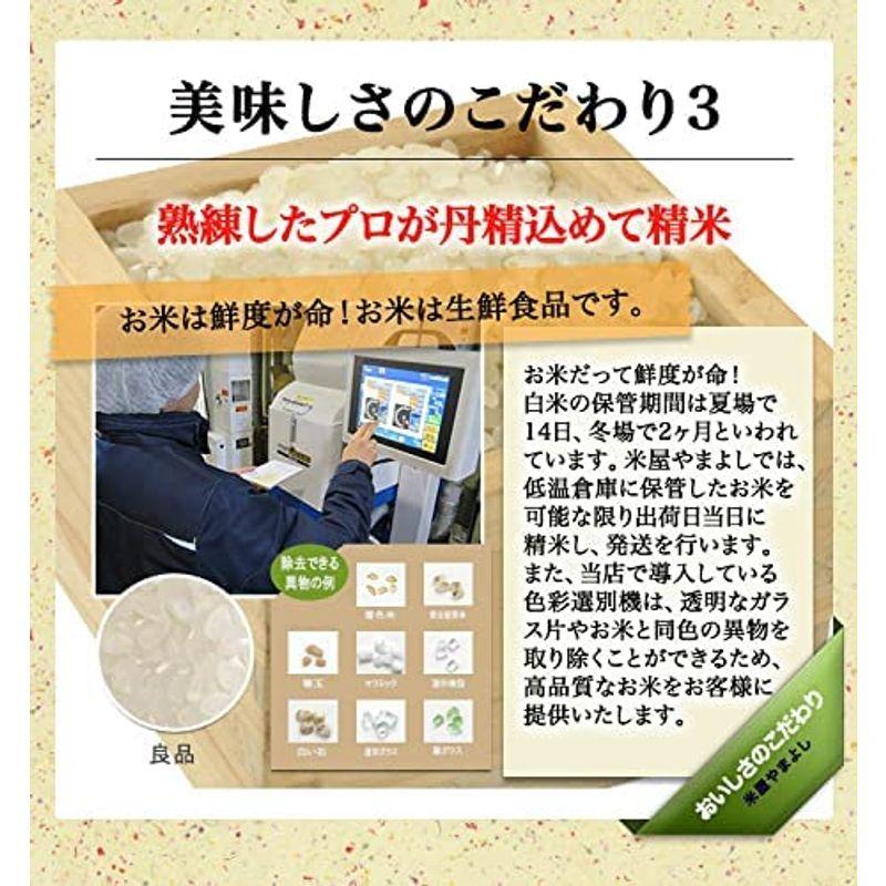 精米福島県中通り産 白米 ミルキークイーン 10kg (5kg×2) 令和4年産 沖縄対応不可