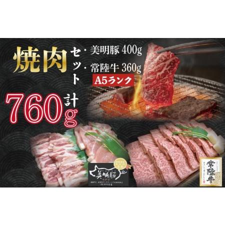 ふるさと納税 DT-26常陸牛カルビ360ｇ＋美明豚400ｇ（ロース200ｇ・ばら200ｇ） 茨城県行方市