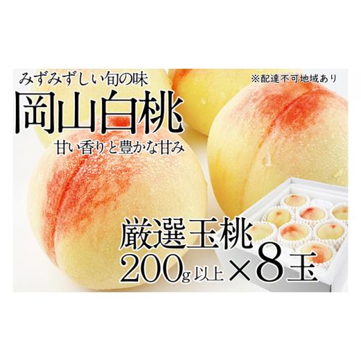 ふるさと納税 岡山県 里庄町 桃 2024年 先行予約 岡山の白桃 200g以上×8玉 白桃 旬 みずみずしい 晴れの国 おかやま 岡山県産 フルーツ王国 果物王国