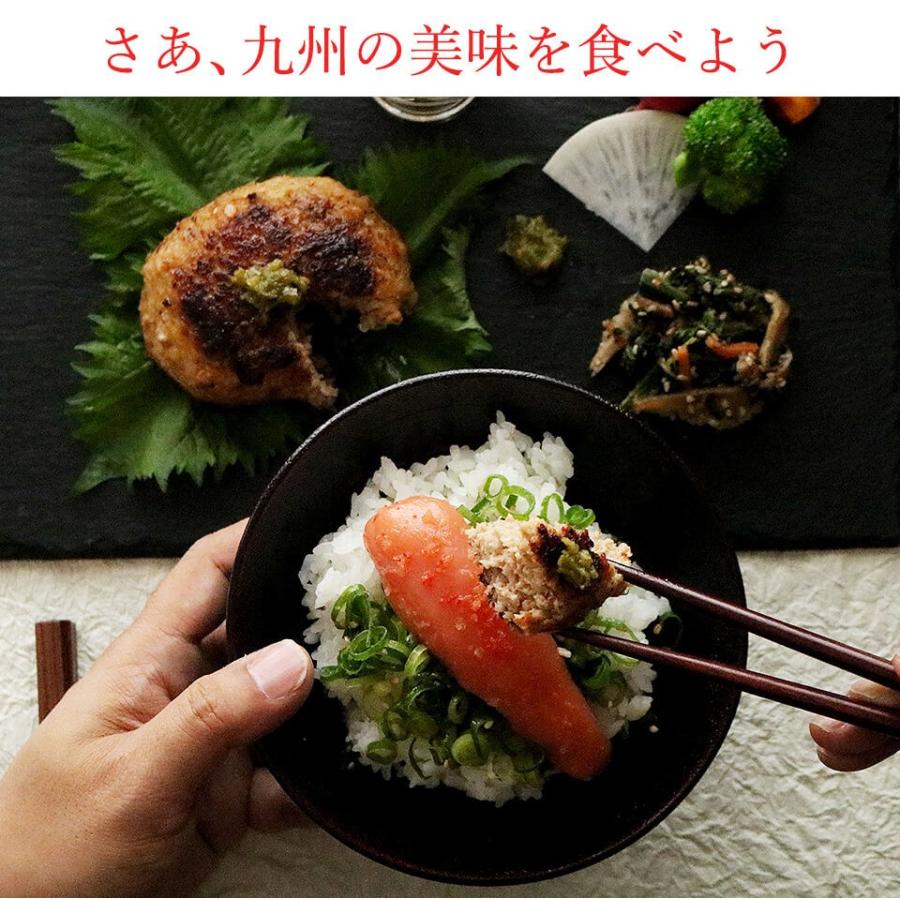 明太子に合う!さとふるで1位の唐津バーグとご飯のお供セット 福さ屋 お歳暮 ギフト