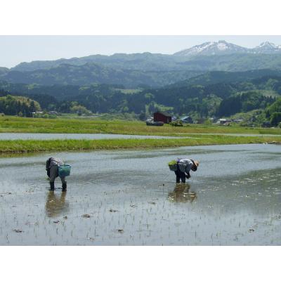 ふるさと納税 糸魚川市 新潟県糸魚川産コシヒカリ　JAひすい厳選米「ひすいの里」5kg