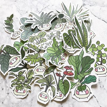 布籽生物  | 觀葉植物籽 插畫貼紙